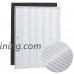 Winix Size 25 Replacement HEPA Filter Set for P450 Air Cleaner - B00JFH1O54